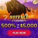 Buffalo Casino